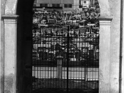 trattori invece che erba